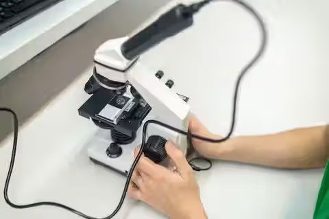 Spectrophotometers: A Complete Guide to Modern Analysis